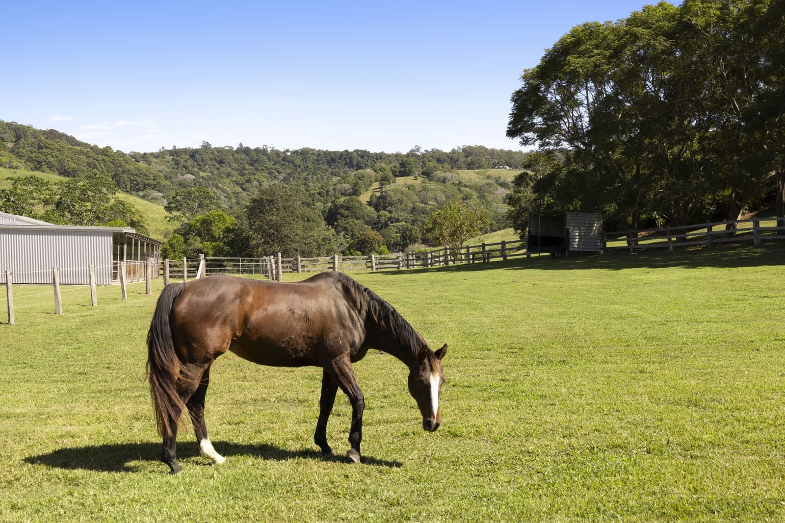 A Private Equestrian Estate With Mount Pinbarren As Your Horizon