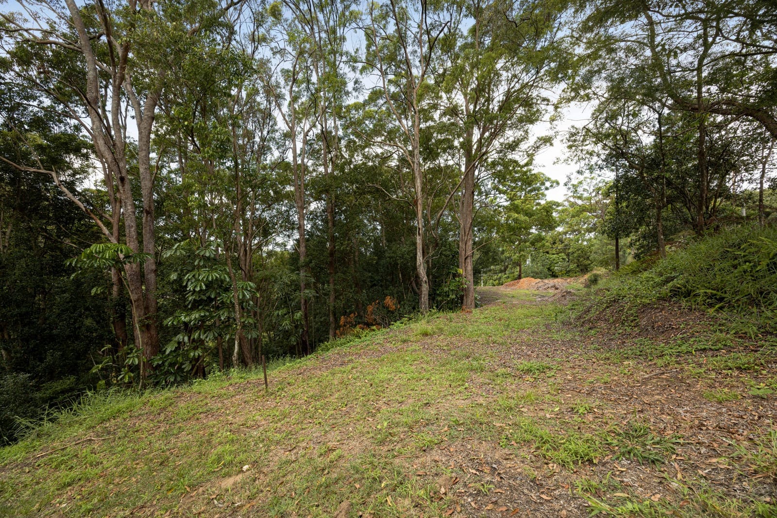 SOLD BY JAMIE VIBERT & NAJ ELSAYED
