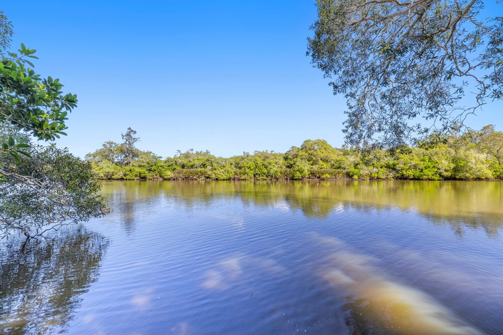 Sold by Corey Payne & Craig Morrison