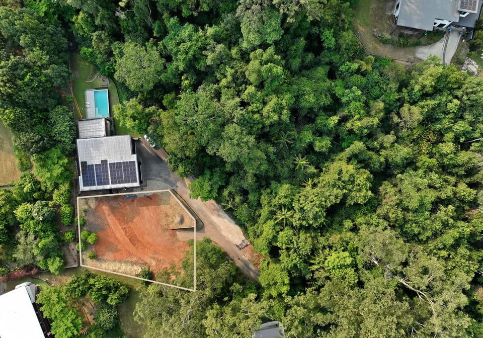Your Build-Ready Rainforest Sanctuary