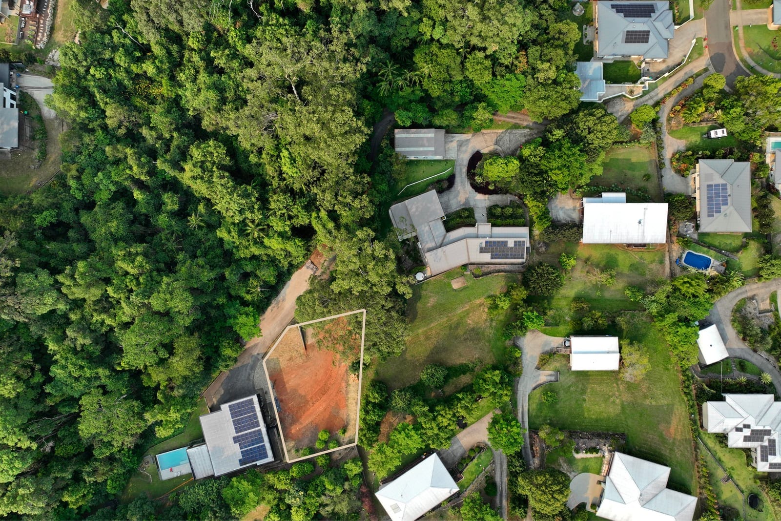 Your Build-Ready Rainforest Sanctuary