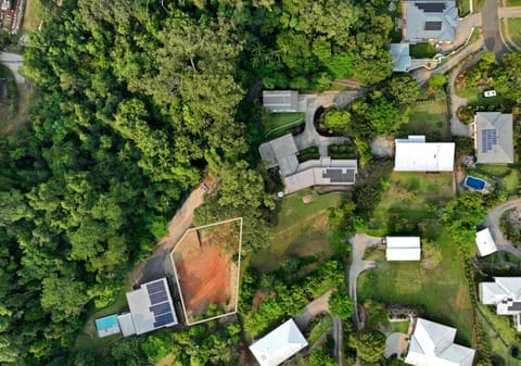 Your Build-Ready Rainforest Sanctuary
