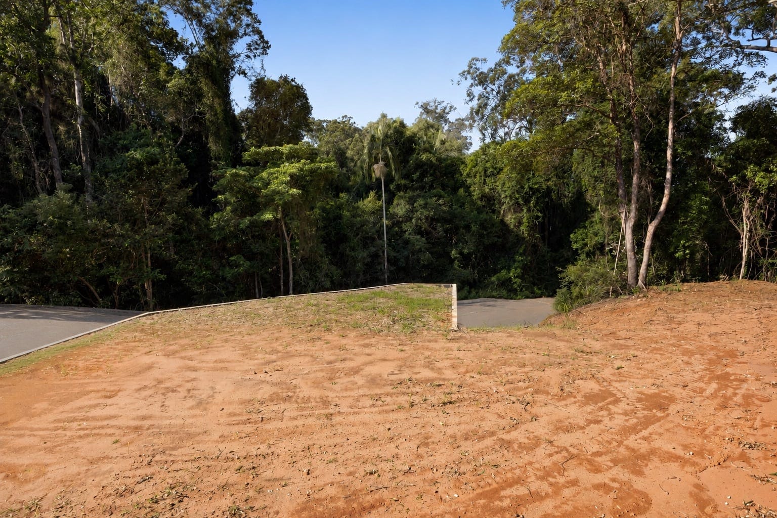 Your Build-Ready Rainforest Sanctuary