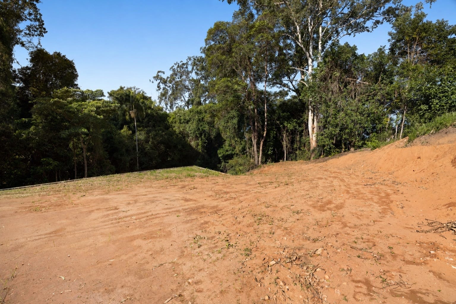 Your Build-Ready Rainforest Sanctuary