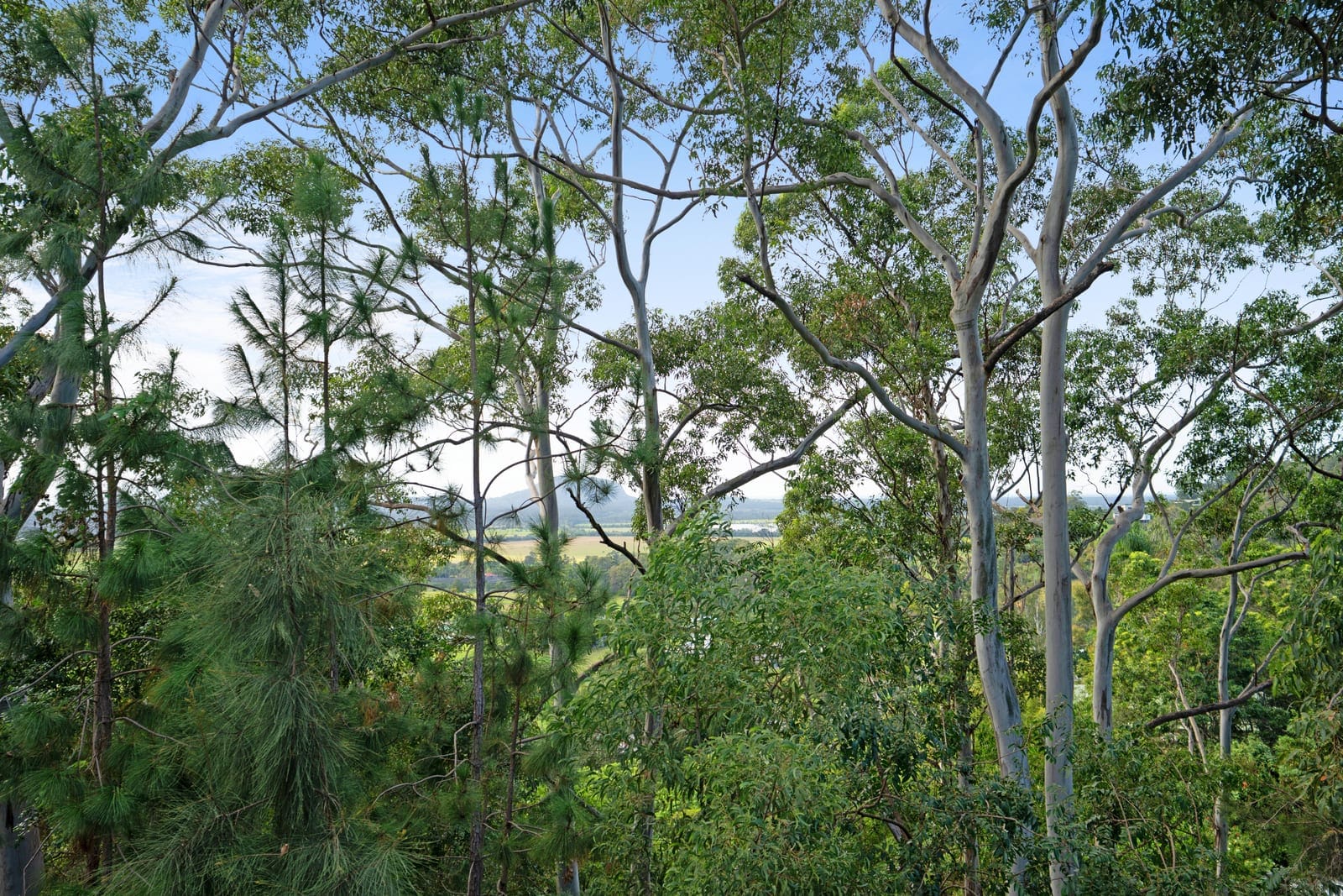 Where Hinterland Serenity Meets Coastal Horizons