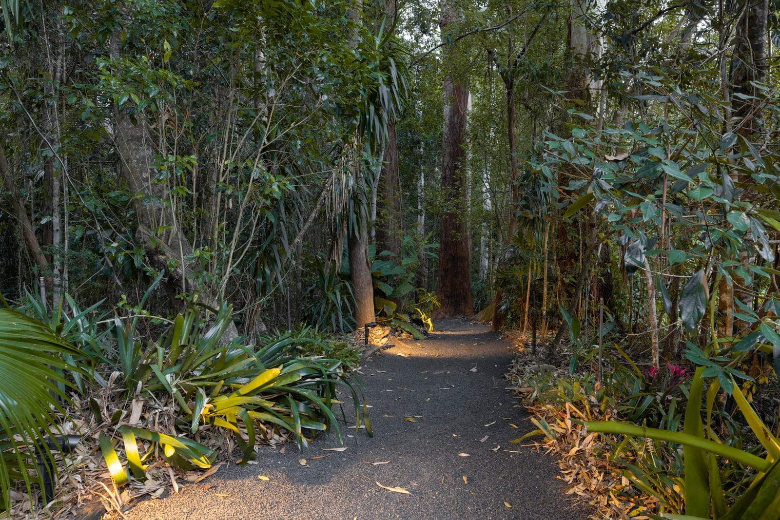 PRIVATE ACREAGE, DUAL LIVING & AN ENVIABLE PALMWOODS LIFESTYLE