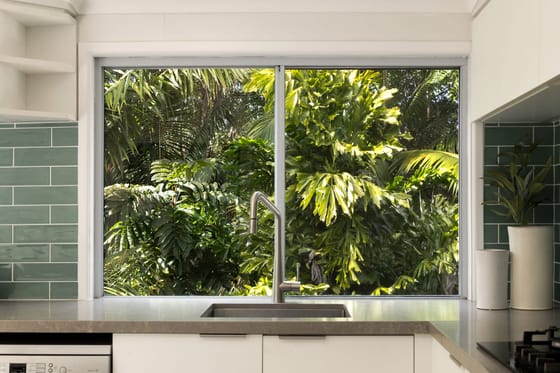 Family home with Rainforest Backdrop