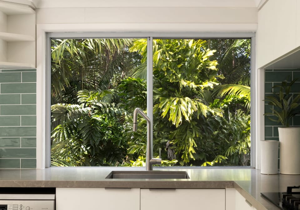 Family home with Rainforest Backdrop