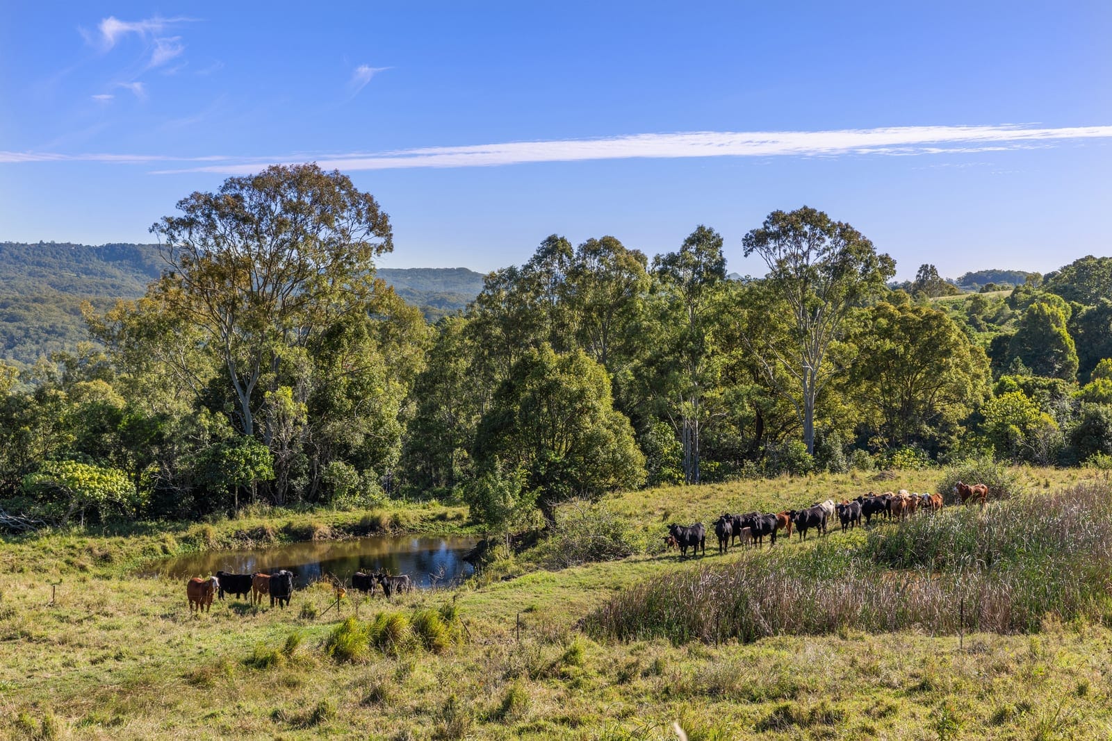 56 Acres of Lifestyle, Views & Opportunity