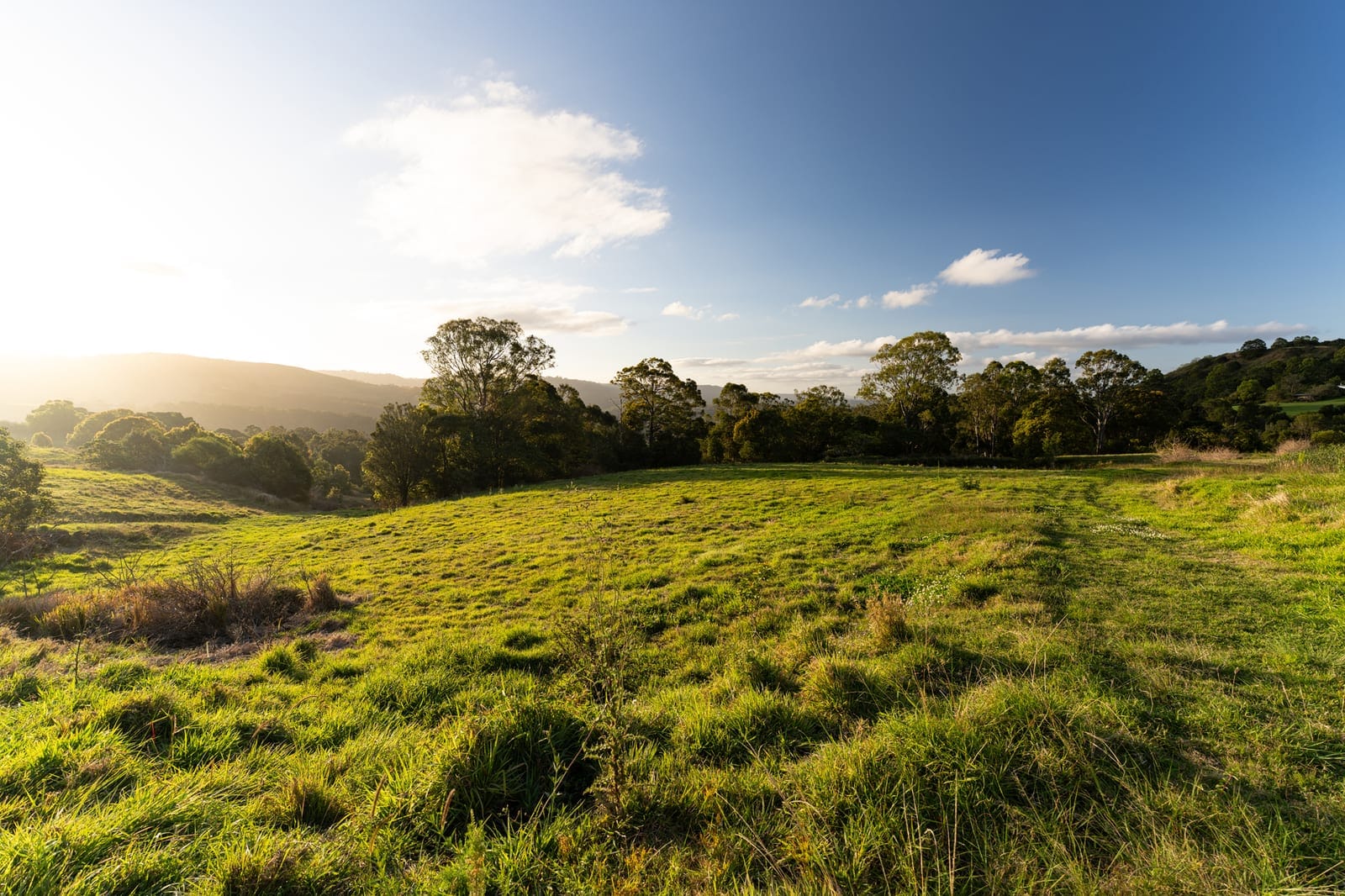 56 Acres of Lifestyle, Views & Opportunity