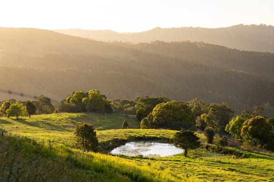 56 Acres of Lifestyle, Views & Opportunity