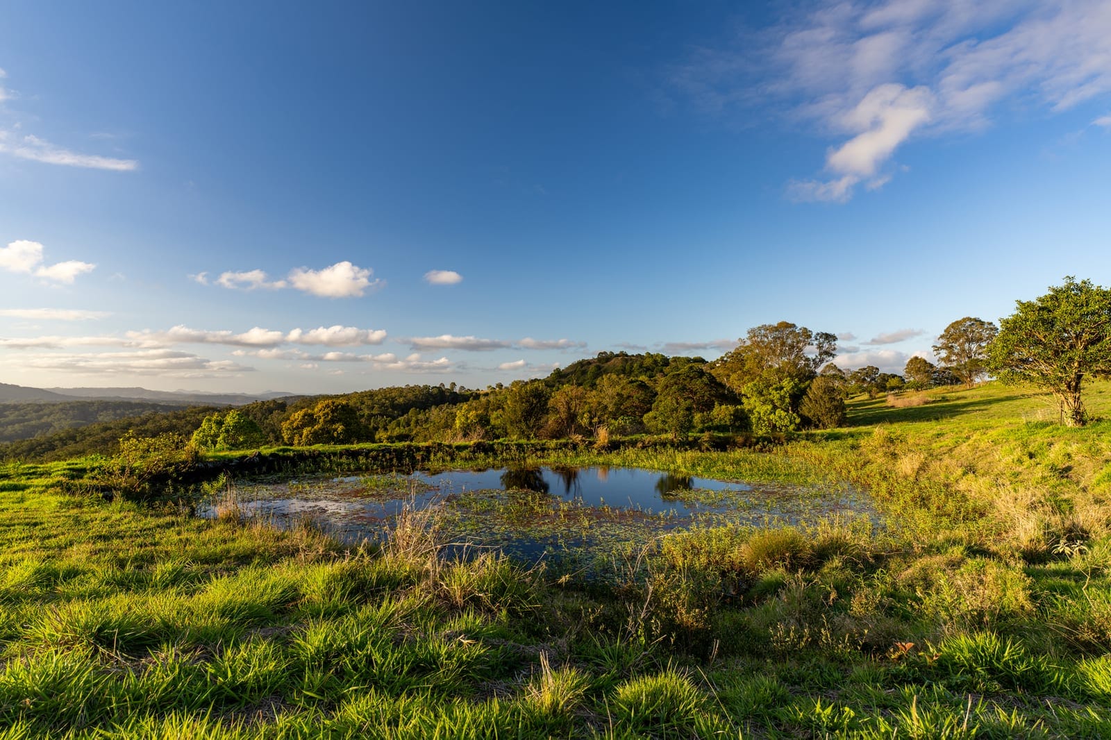 56 Acres of Lifestyle, Views & Opportunity