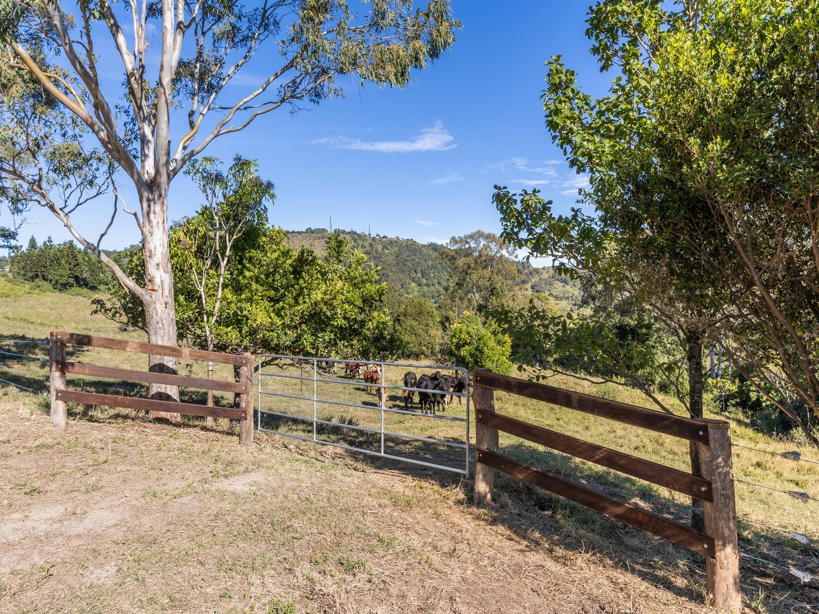 56 Acres of Lifestyle, Views & Opportunity