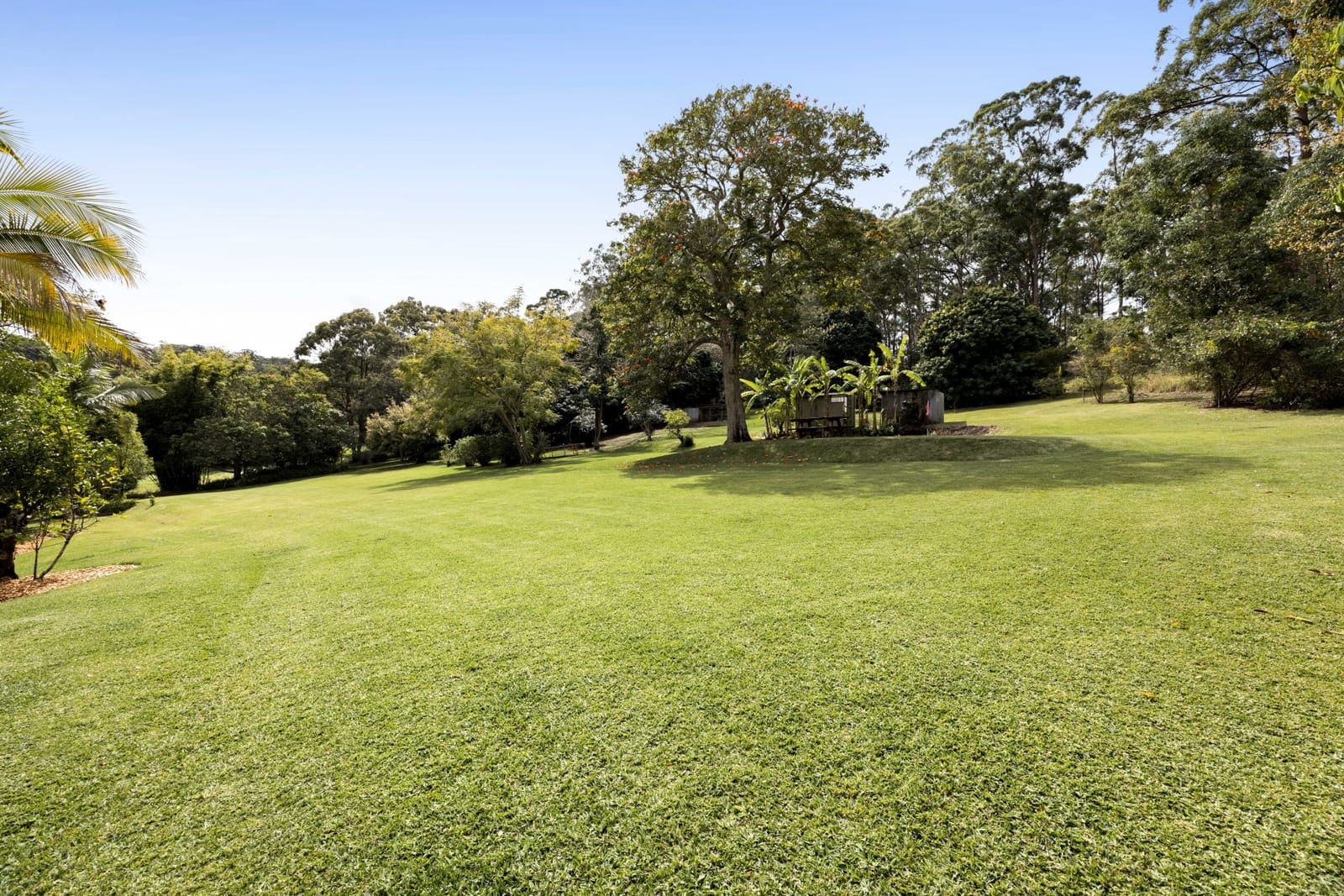 2.5 Acres of Freedom, Just Minutes from the Coast