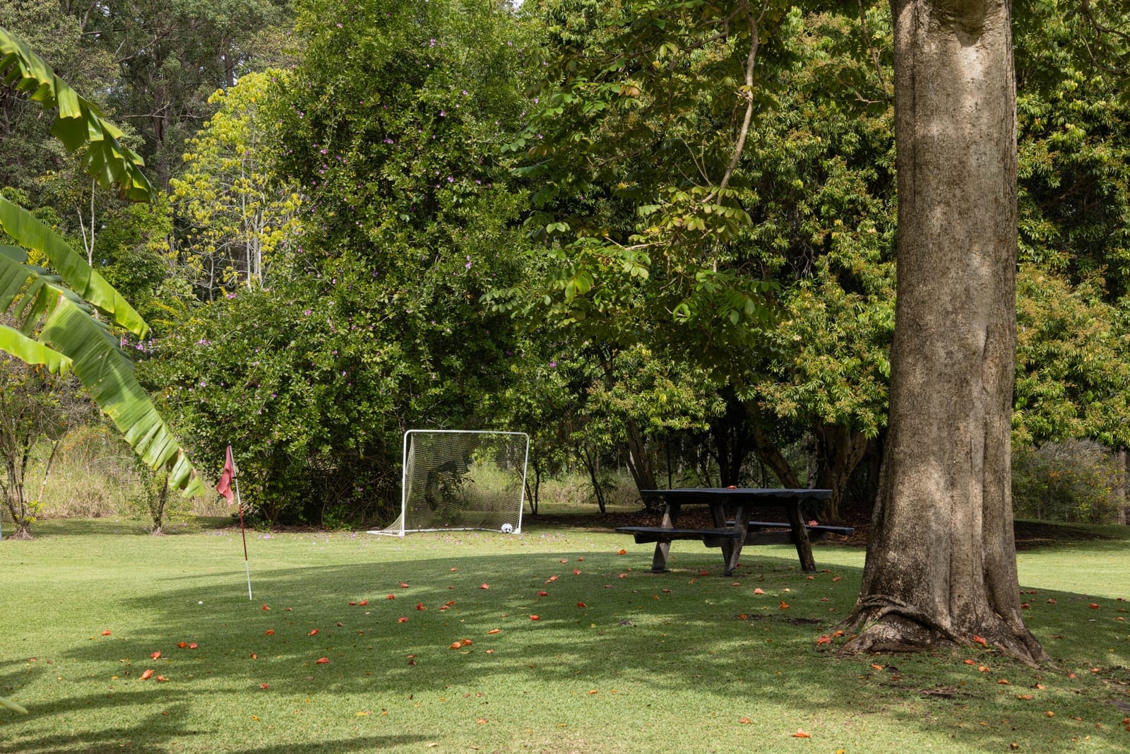 2.5 Acres of Freedom, Just Minutes from the Coast