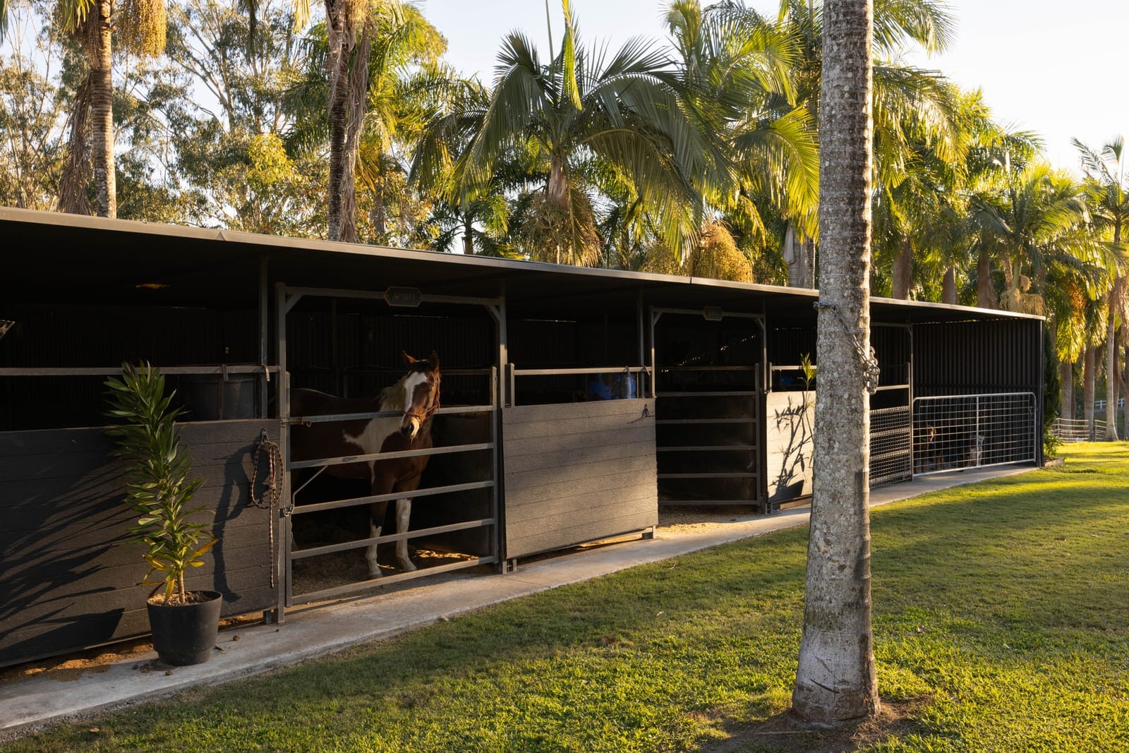 Private 10-Acres: Premium Modern Home, Quality Horse Infrastructure