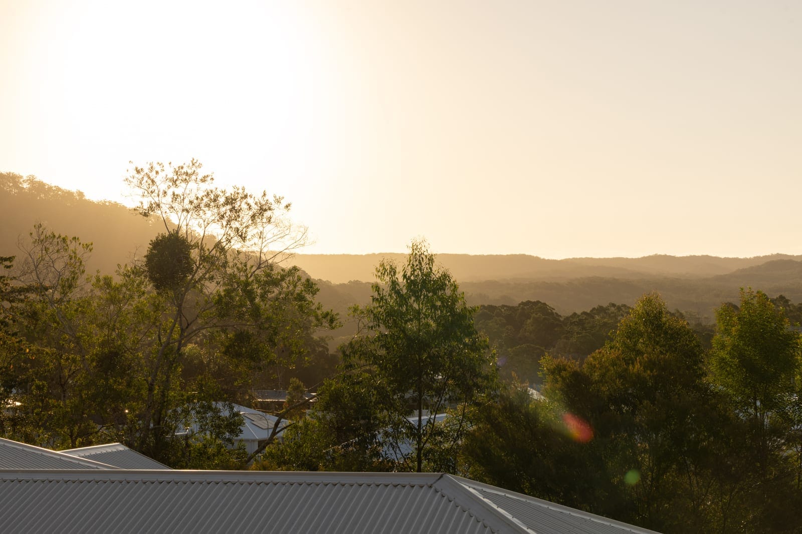 Elevated Hinterland Living - Views, Space & Serenity