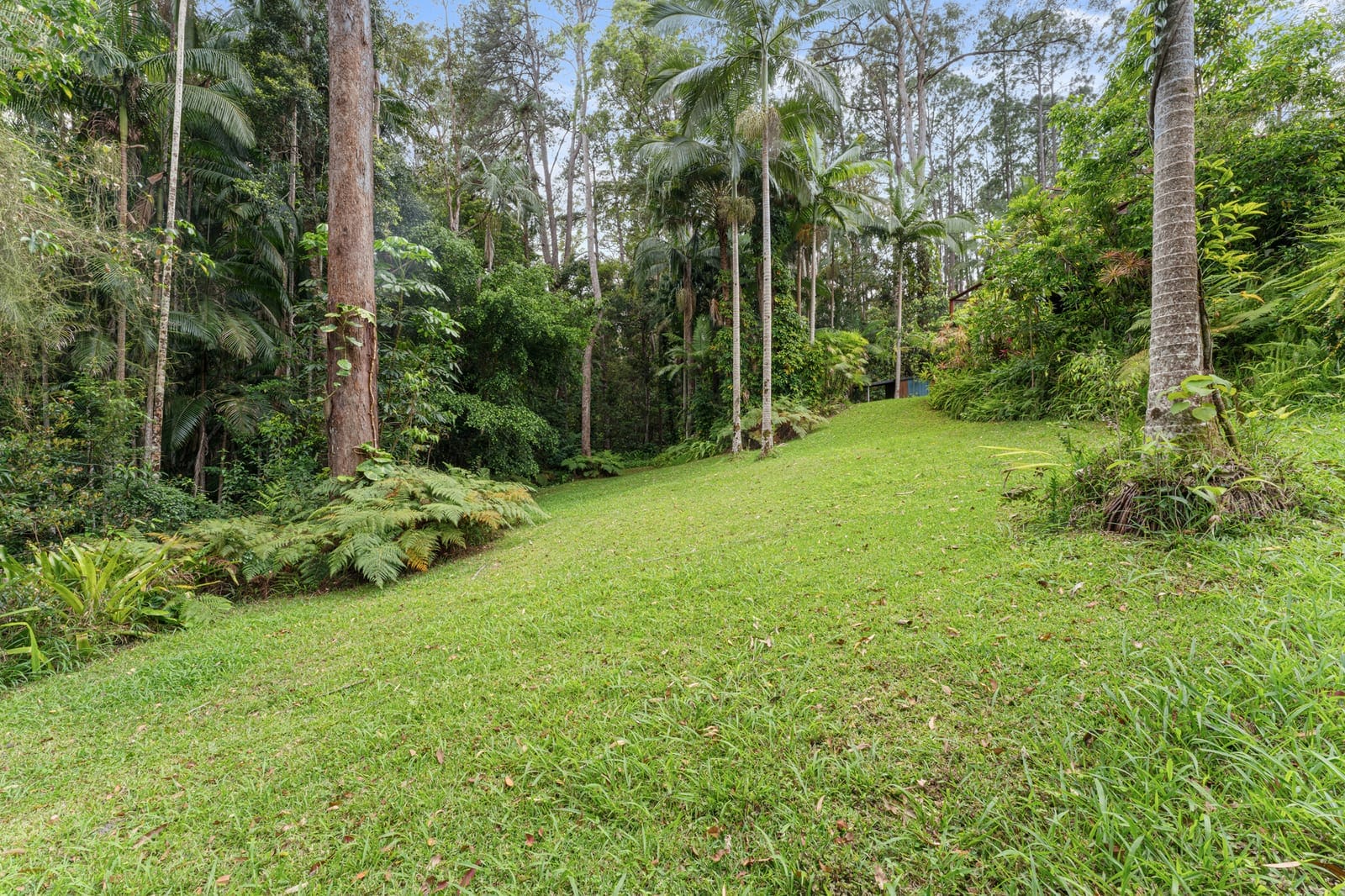Three Living Zones. Multiple Income Opportunities. One Exceptional Property.