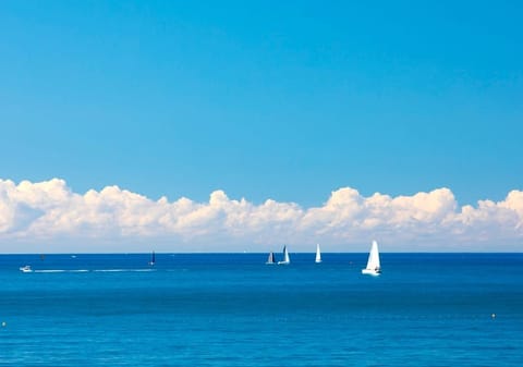 A View for Every Occasion!