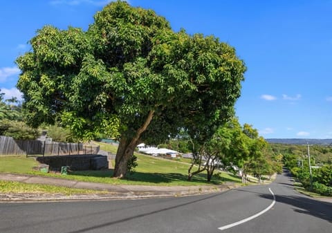 It's rare to find vacant land on top of Buderim