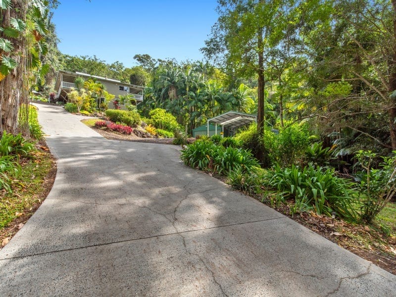 The Ultimate Rainforest Retreat In Buderims Heart...