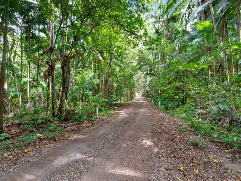 The Ultimate Rainforest Retreat In Buderims Heart...