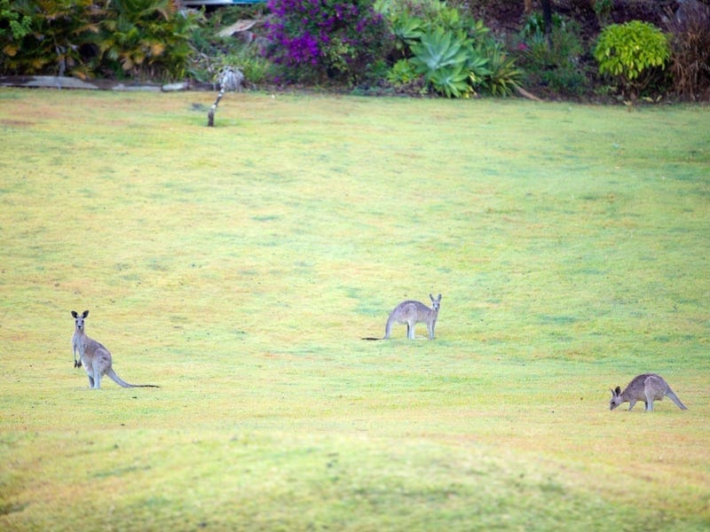 ¼ Acre, Family Perfection!