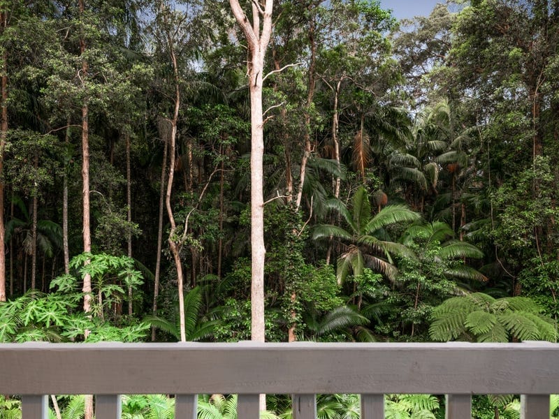 Rainforest Charmer: Private, Peaceful, Picturesque!