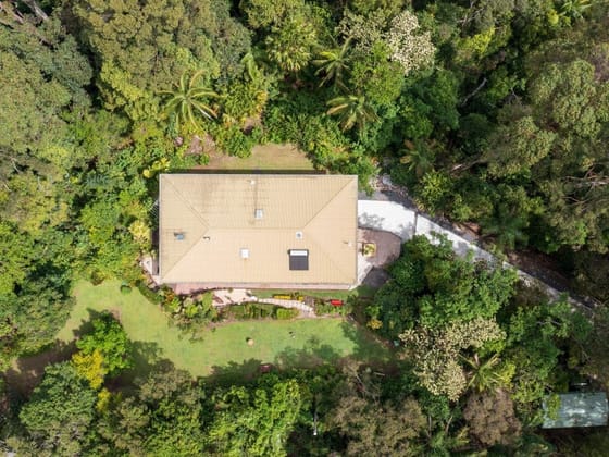 5-Acre Sanctuary: Rainforest, Wildlife, Tranquillity!