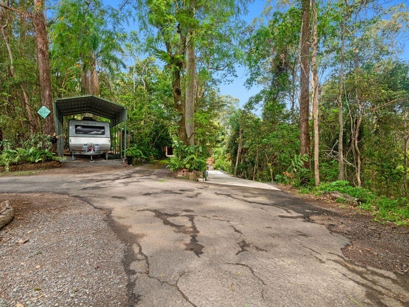 5-Acre Sanctuary: Rainforest, Wildlife, Tranquillity!