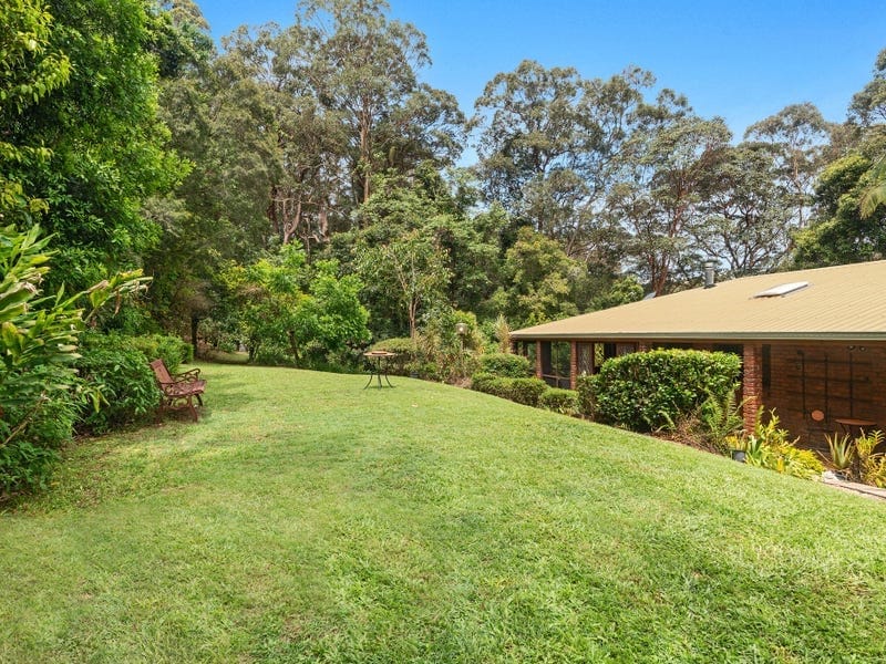 5-Acre Sanctuary: Rainforest, Wildlife, Tranquillity!