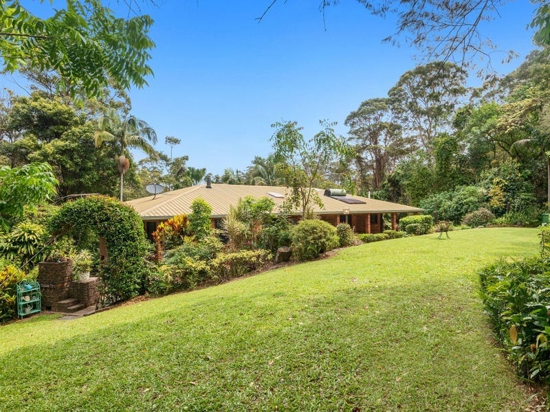 5-Acre Sanctuary: Rainforest, Wildlife, Tranquillity!