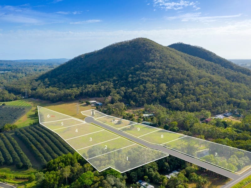 Mountain View Magic