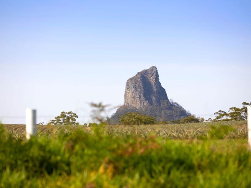 Mountain View Magic